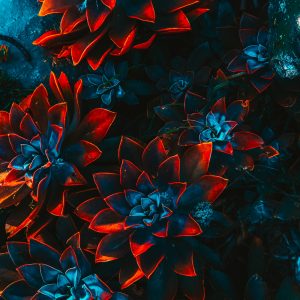 Freelance Artist Floral 4 300x300 1